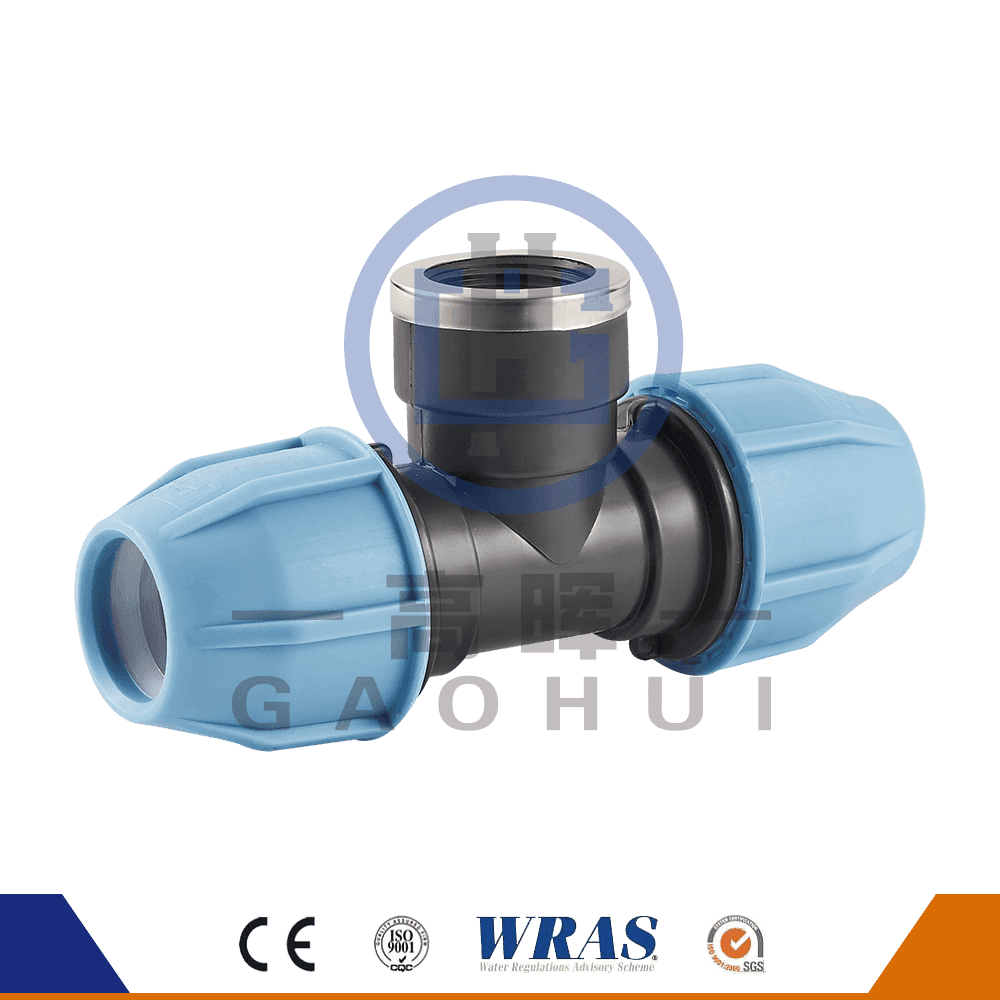 Testa rotonda pp femmina tee p-025