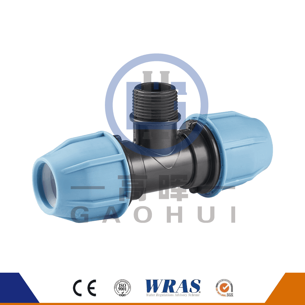 Testa rotonda PP MASCHE MASCHI P-024