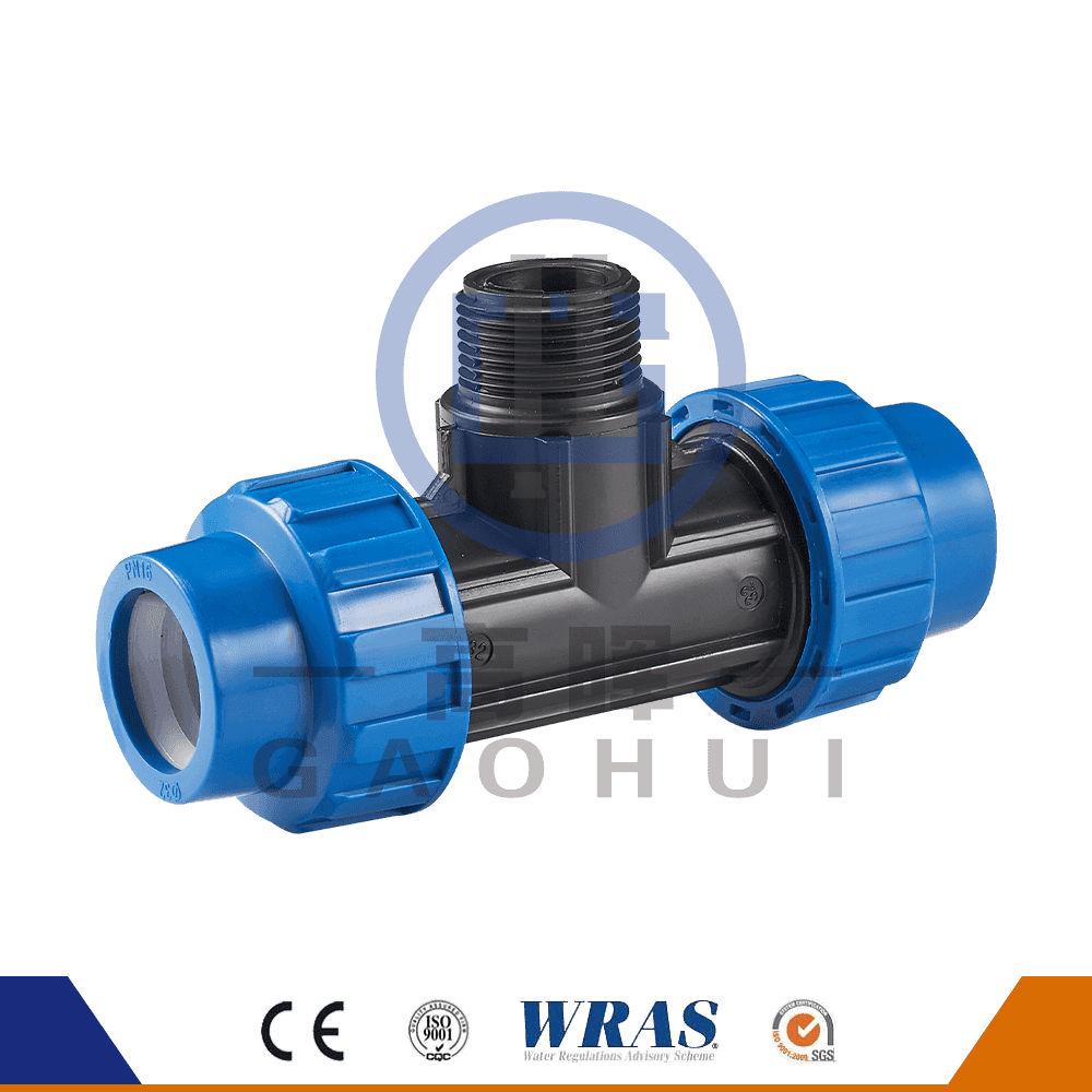 Versione spagnola PP Maschio Maschio TEE P-048