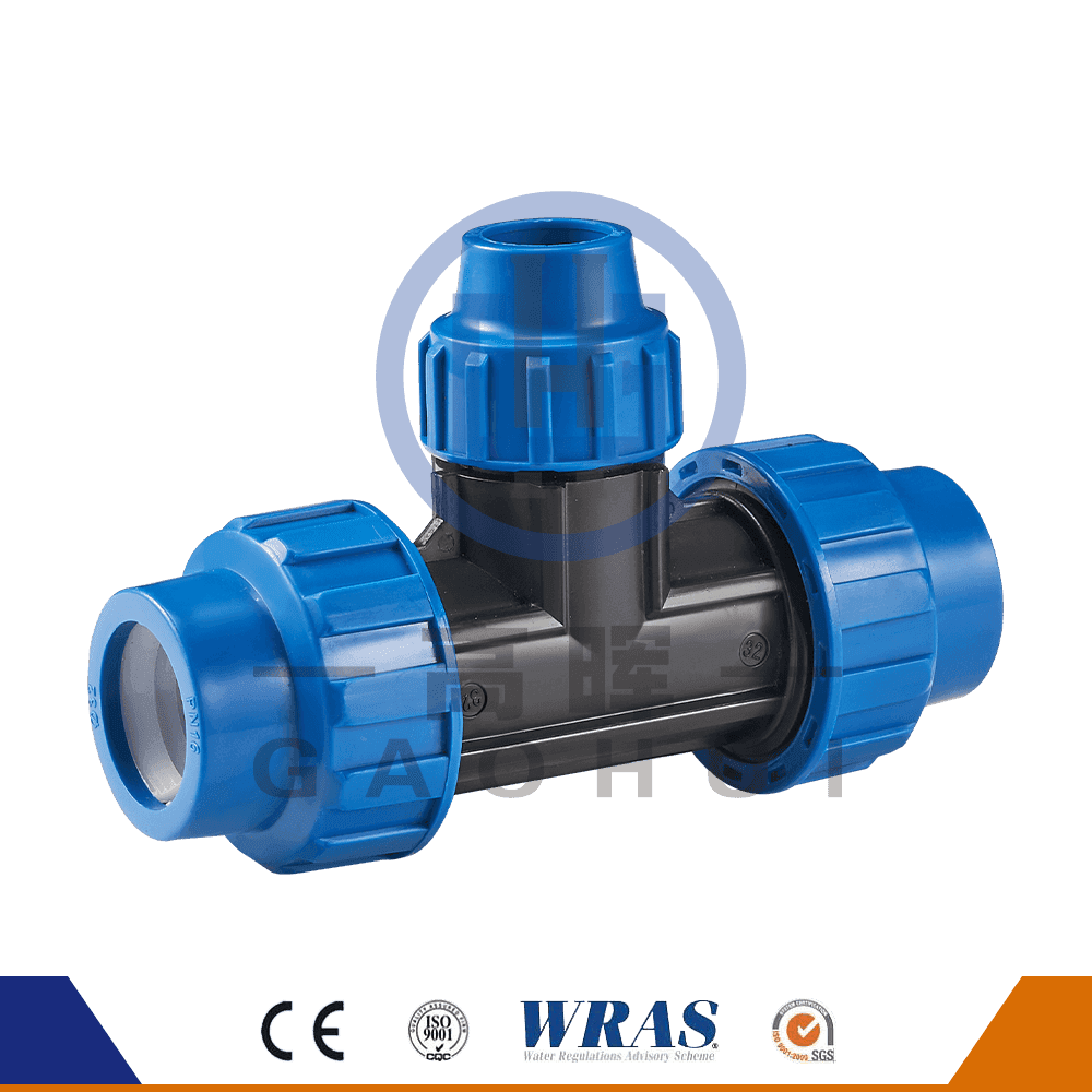 Versione spagnola PP riducendo TEE P-047