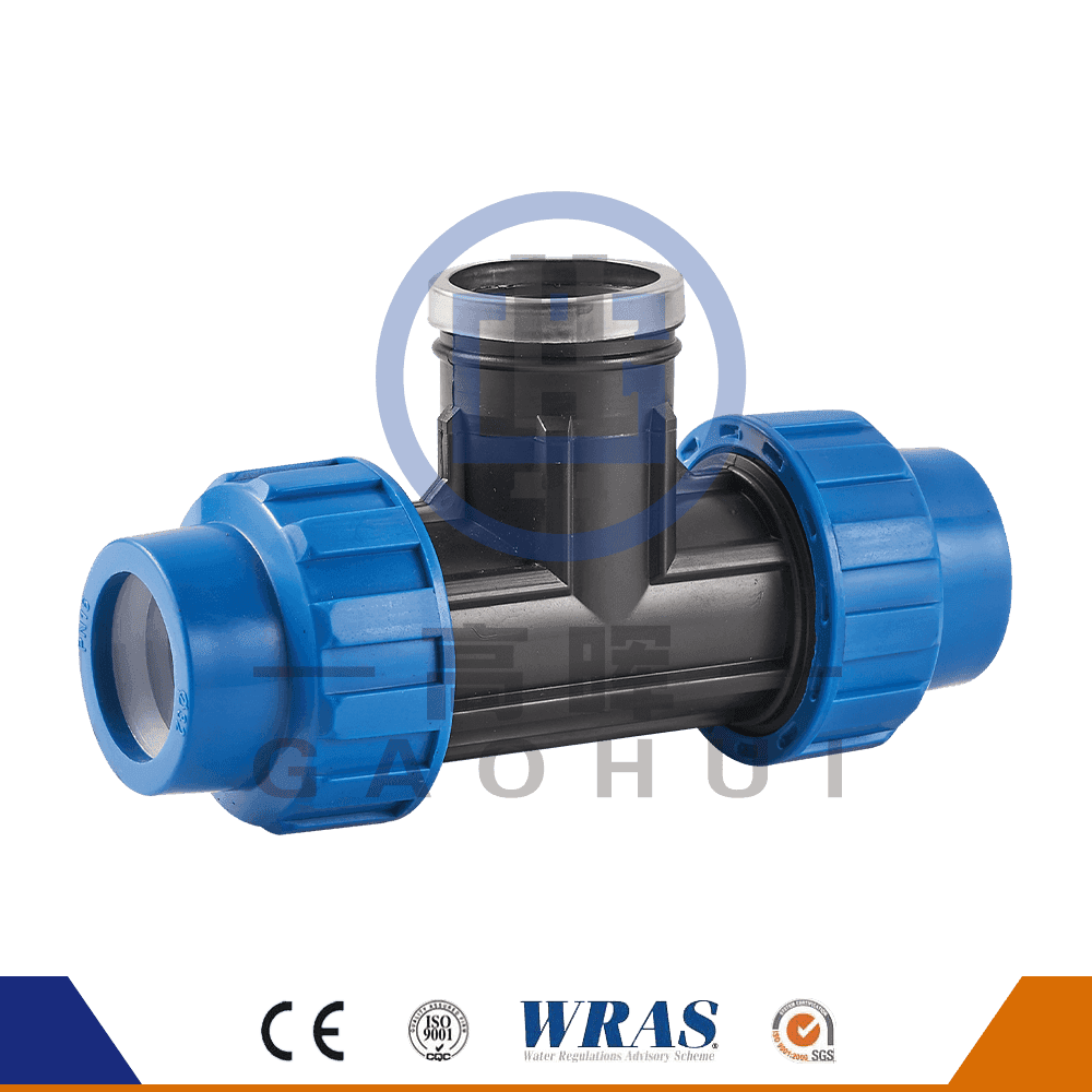 Versione spagnola PP Female adatto TEE P-049